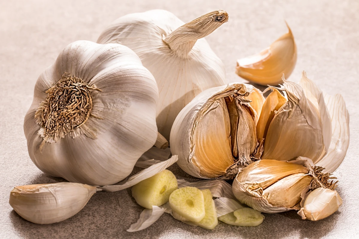 Knoblauch – was kann die Knolle wirklich (außer Vampire vertreiben)?